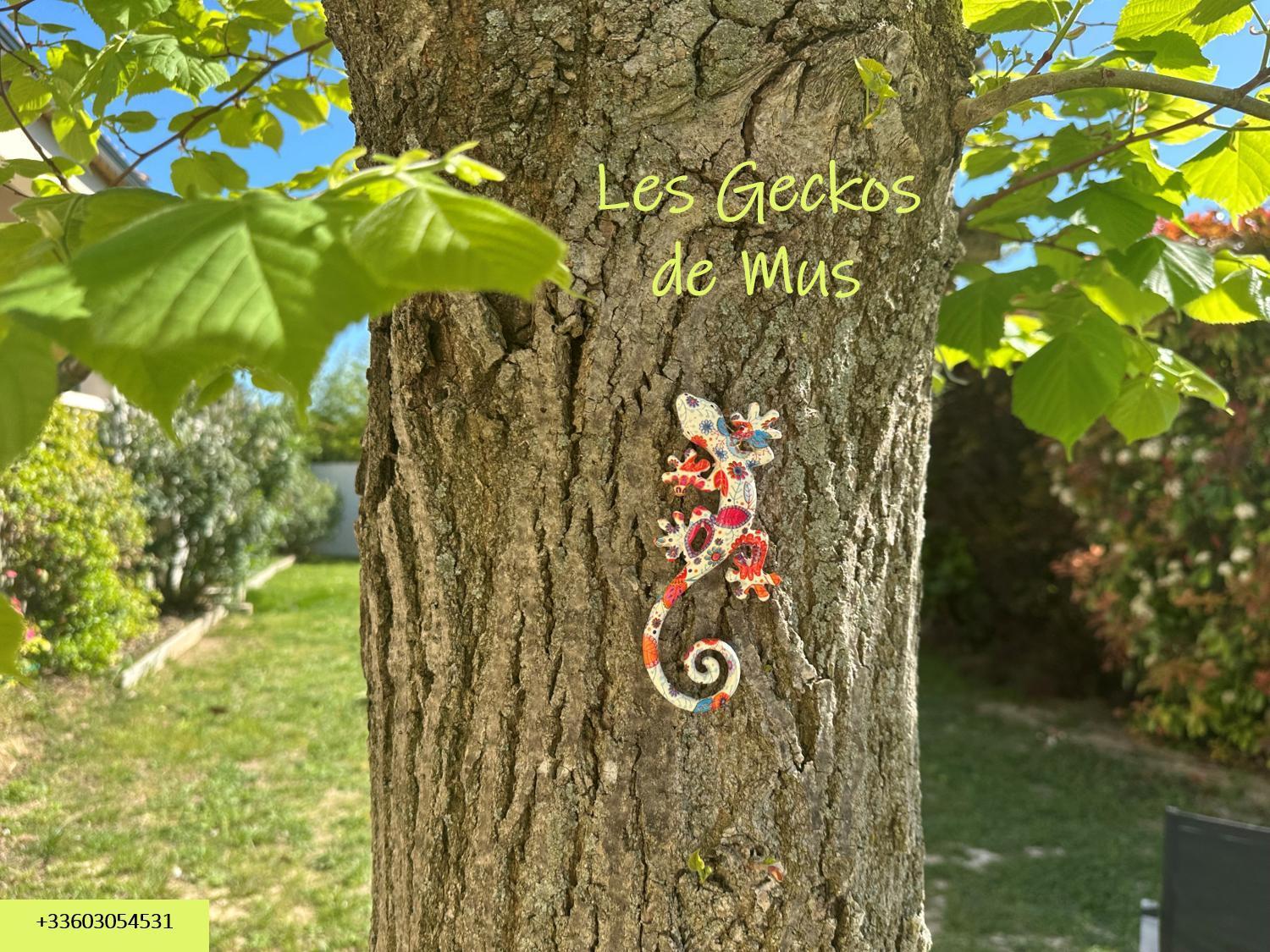 Les Geckos De Mus Apartman Kültér fotó
